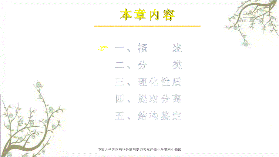 中南大学天然药物分离与提纯天然产物化学资料生物碱_第2页