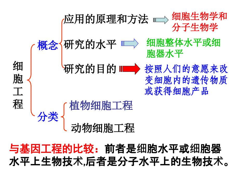 选修三.植物组织培养技术课件_第3页