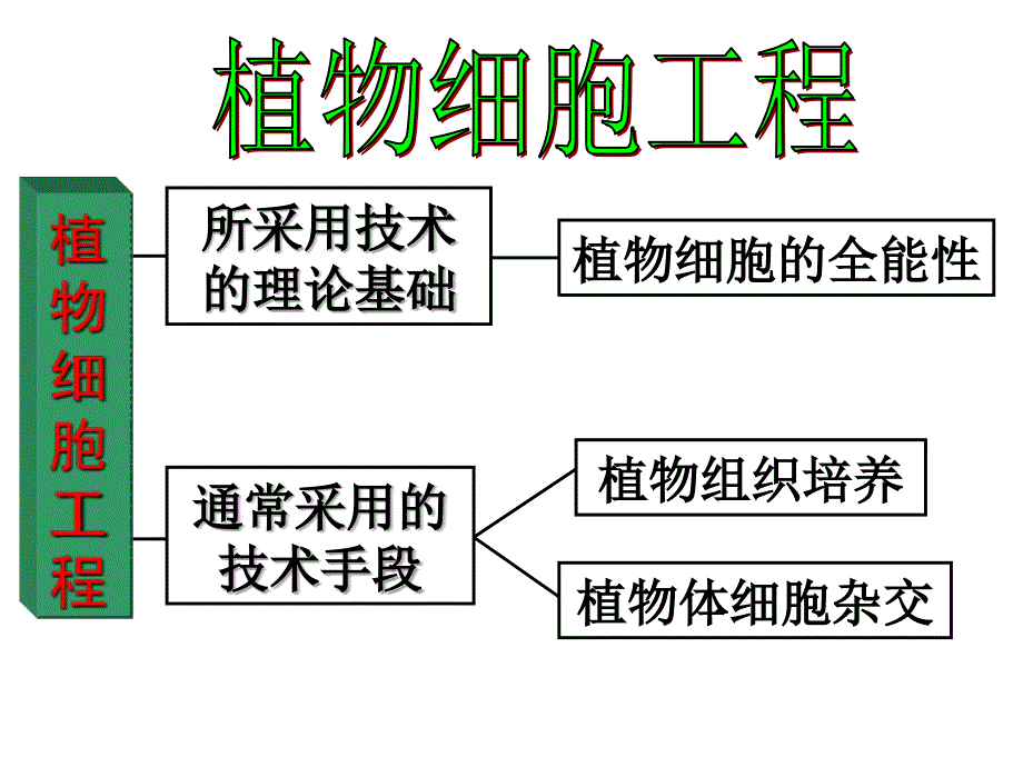 选修三.植物组织培养技术课件_第4页