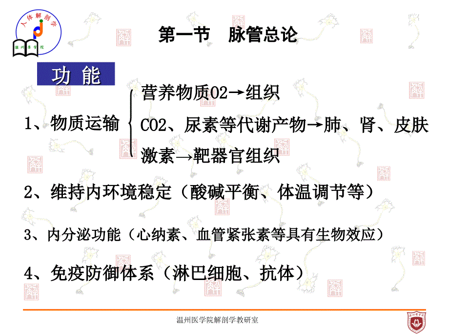 《系统解剖学》教学课件：脉管总论、心脏_第2页