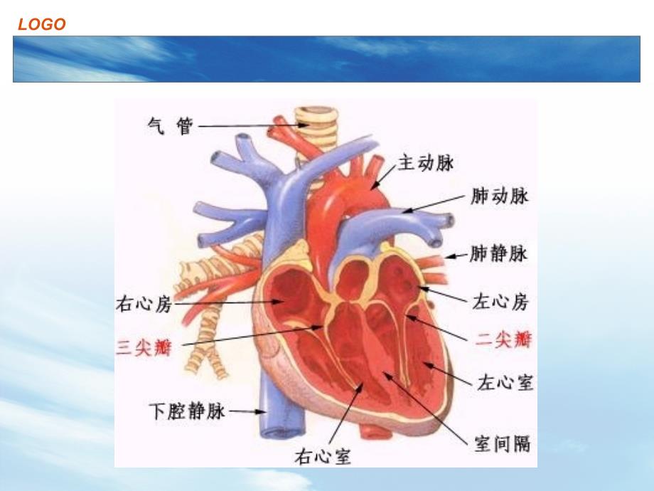 测量cvp数值的相关知识_第4页