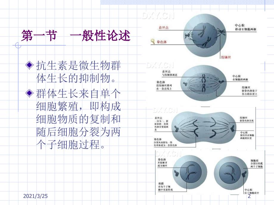 抗生素的作用机制PPT课件_第2页