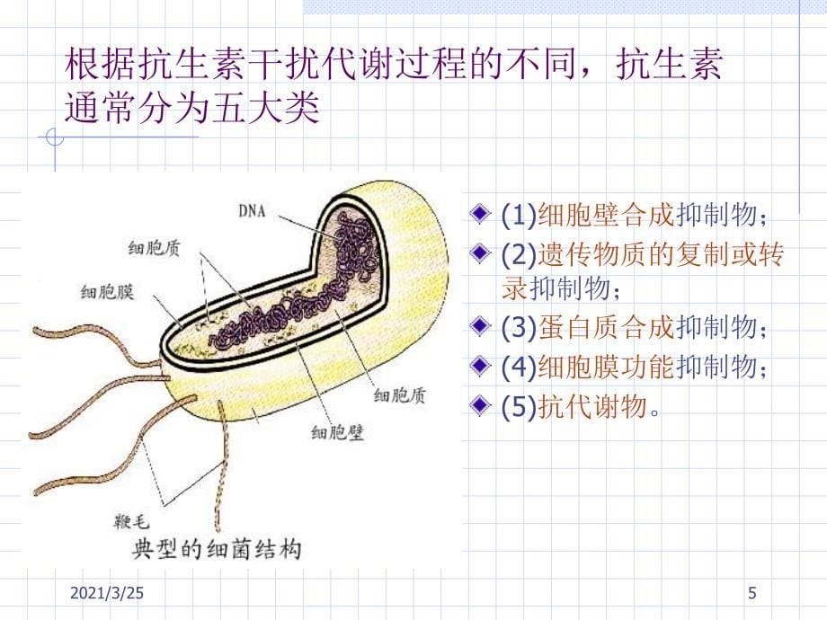 抗生素的作用机制PPT课件_第5页