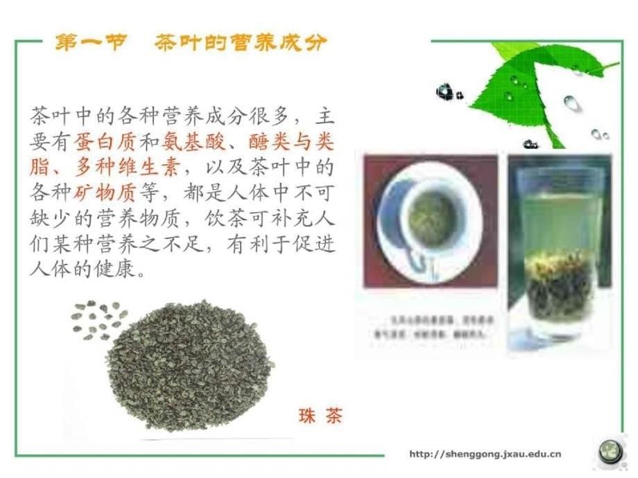 第二章茶是理想的饮料_第5页