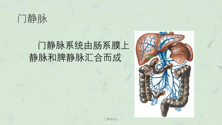 门静脉高压课件_第3页