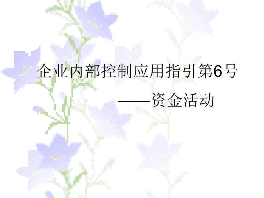 内控第6号：资金活动.ppt_第1页
