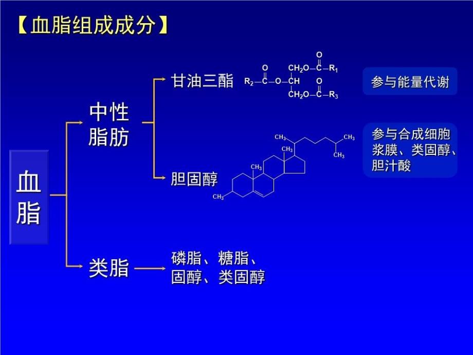 临床血脂学与动脉粥样硬化.ppt_第3页