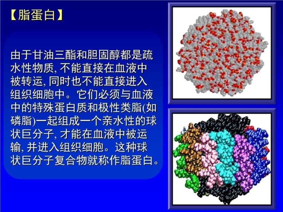 临床血脂学与动脉粥样硬化.ppt_第4页