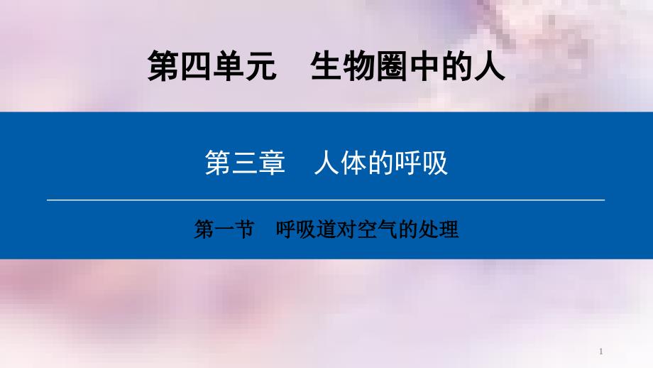 七年级生物下册第四单元第三章第一节呼吸道对空气的处理课件新版新人教版_第1页