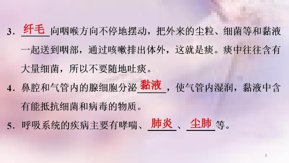 七年级生物下册第四单元第三章第一节呼吸道对空气的处理课件新版新人教版_第5页