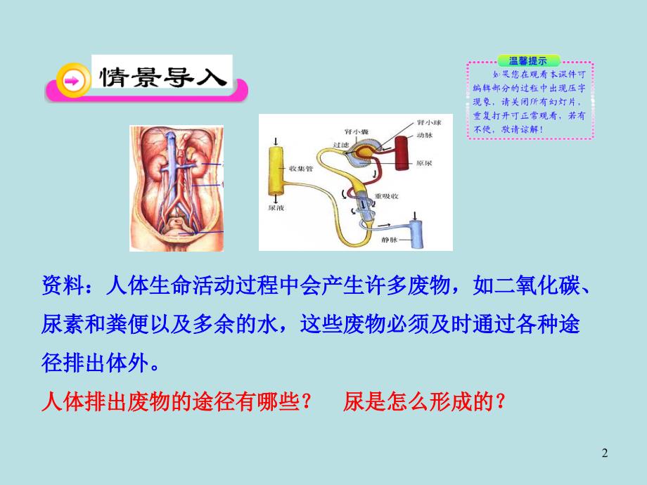 人体内废物的排出课件_第2页