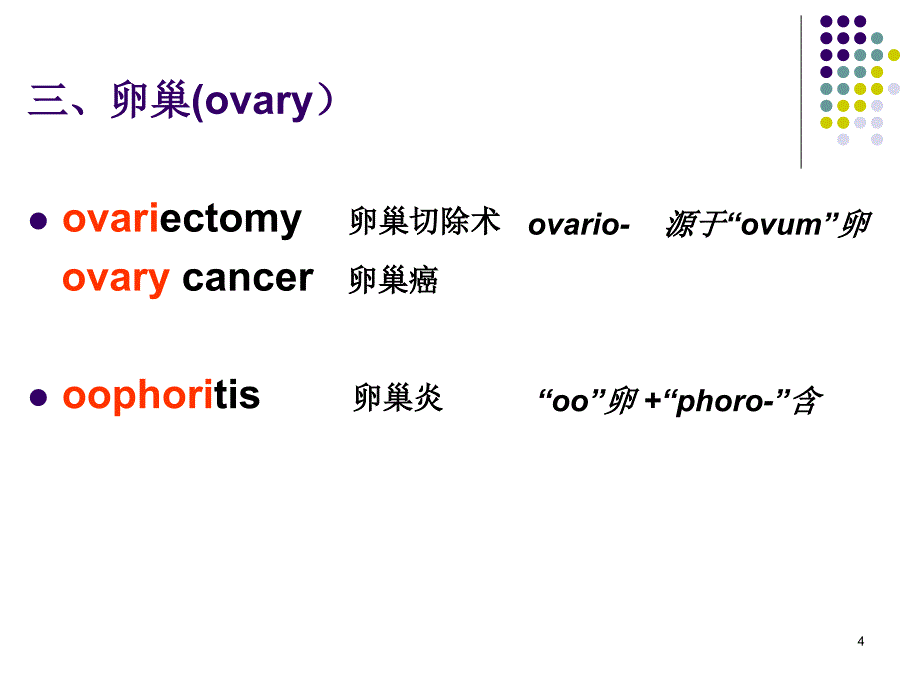 妇产科专业英语_第4页