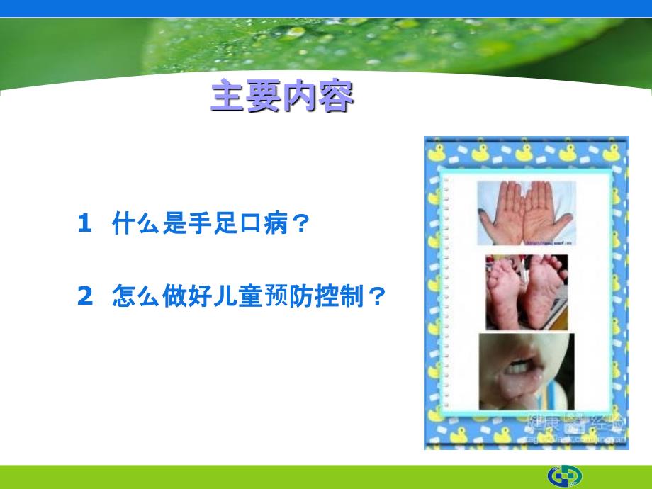 手足口病培训课件(ppt)0123_第2页