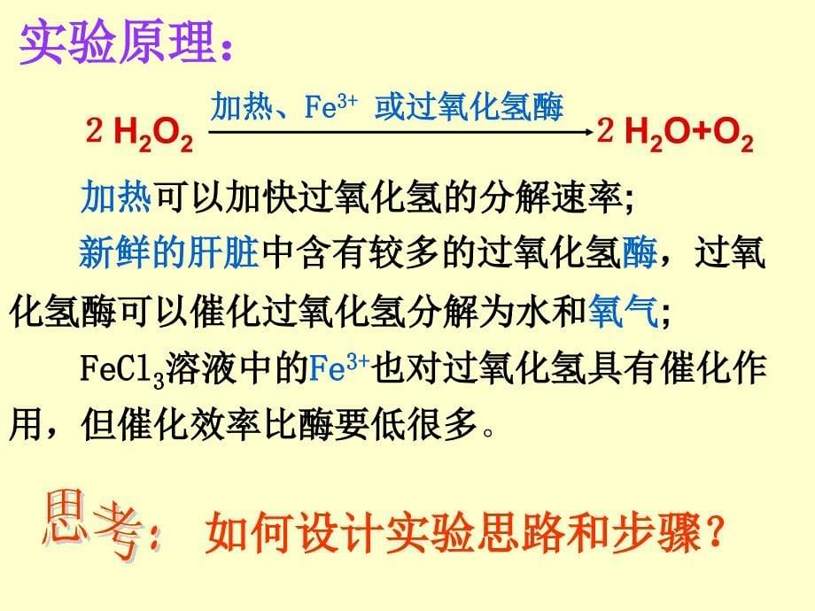 酶在代谢中的作用_第5页