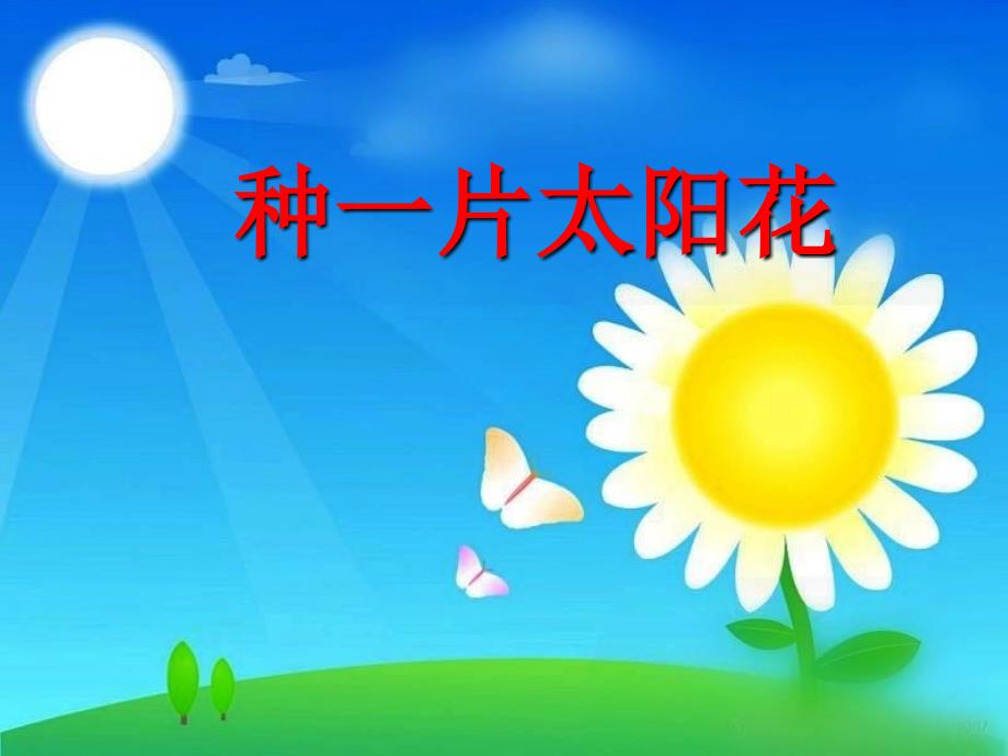 【种一片太阳花(北师大版下册)PPT课件正确的_第2页