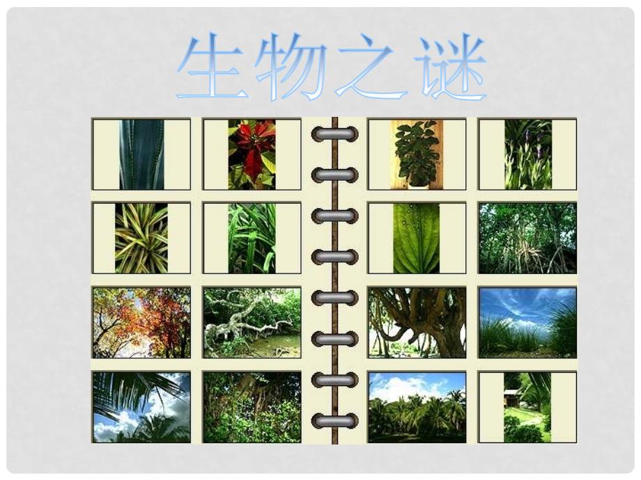 河南省淮阳县西城中学七年级数学上册《1.1 与数学交朋友》课件 华东师大版_第2页