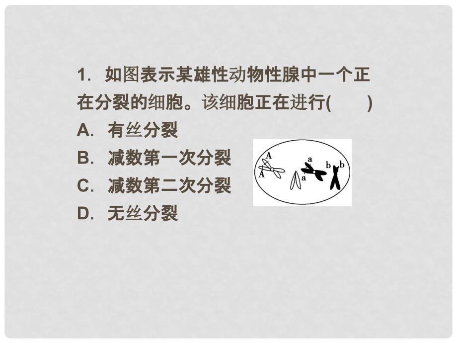 高考生物一轮复习 高考热点集训（3）细胞分裂课件 浙科版_第2页