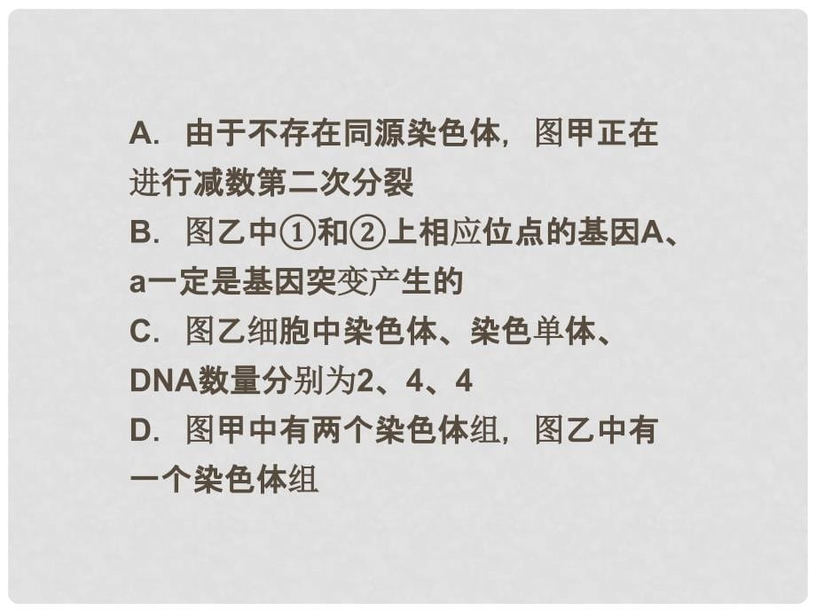 高考生物一轮复习 高考热点集训（3）细胞分裂课件 浙科版_第5页