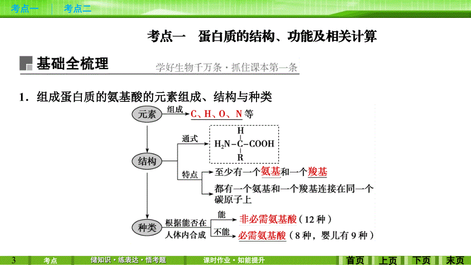 第3讲蛋白质和核酸_第3页