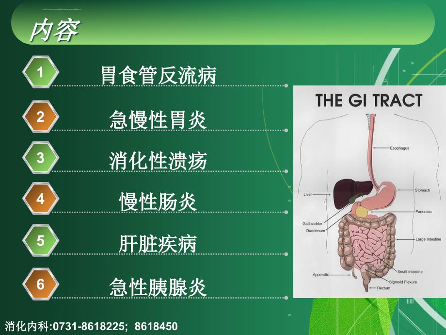 消化系统疾病ppt课件_第2页