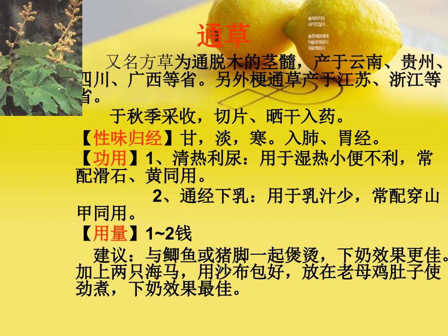 催乳常用中药.ppt_第1页