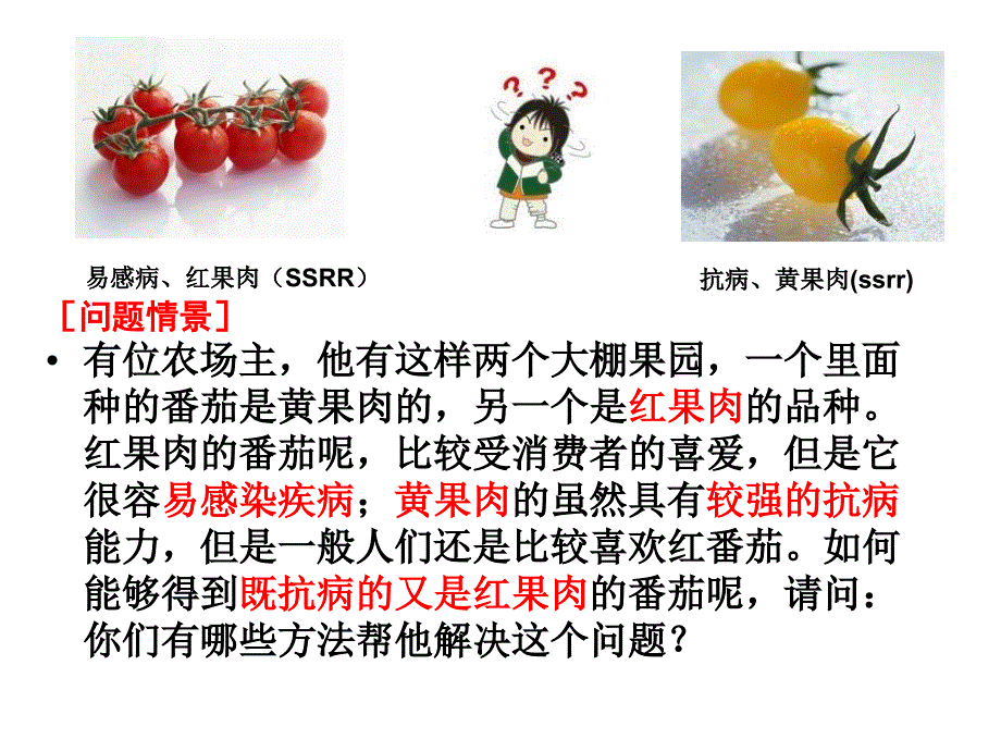 高二生物课件第二节生物变异在生产上的应用一0220_第2页