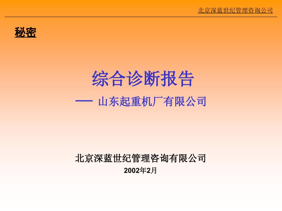 深蓝世纪山东起重机厂—山起诊断报告3_第1页