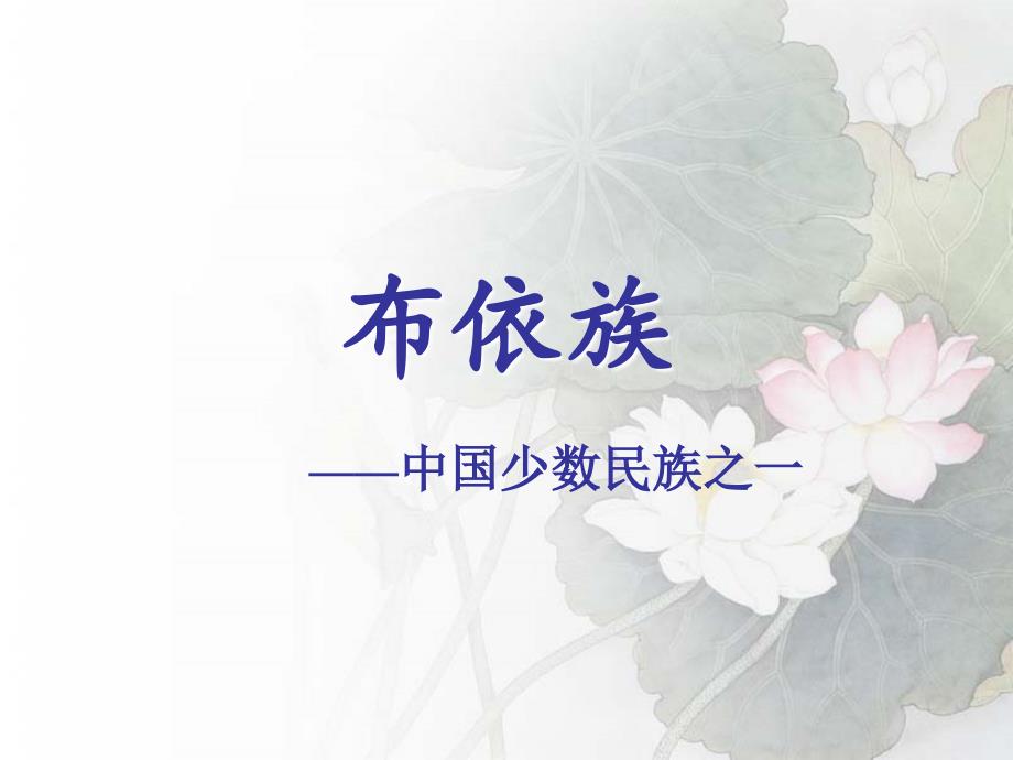 布依族 介绍.ppt.ppt_第1页