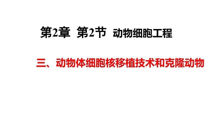 动物体细胞核移植技术和克隆动物课件【备课精讲精研+能力拓展提升】高二下学期生物人教版选择性必修3_第1页