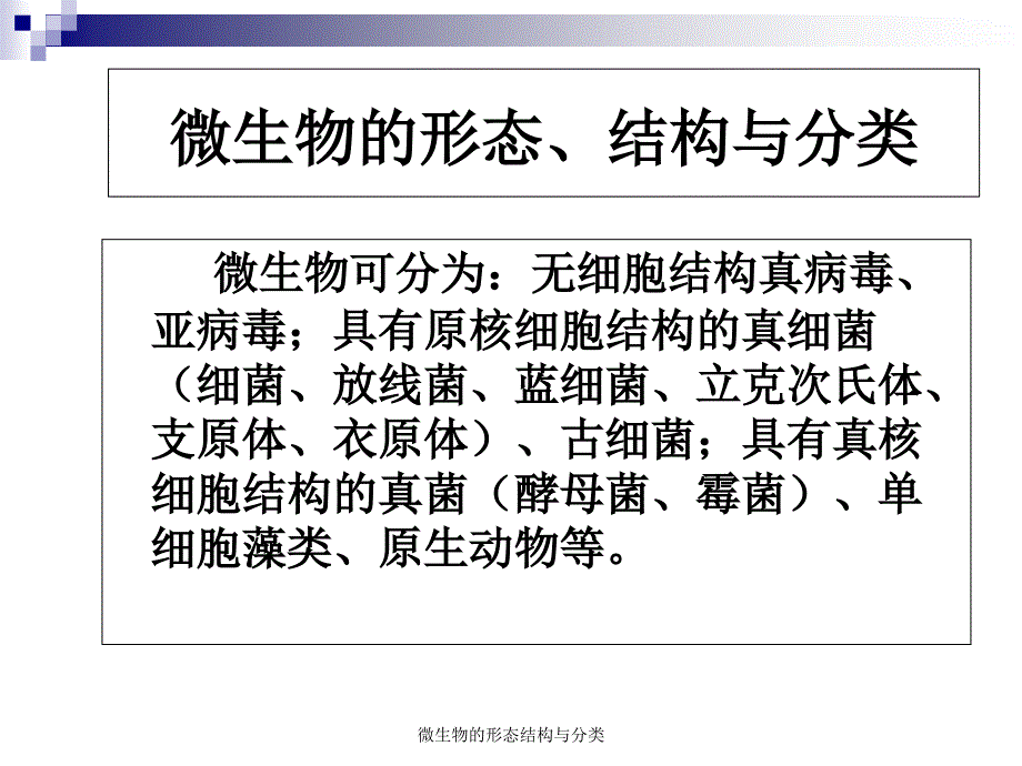 微生物的形态结构与分类课件_第1页