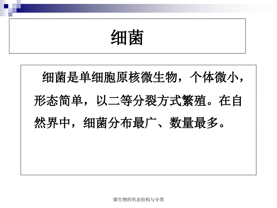 微生物的形态结构与分类课件_第3页