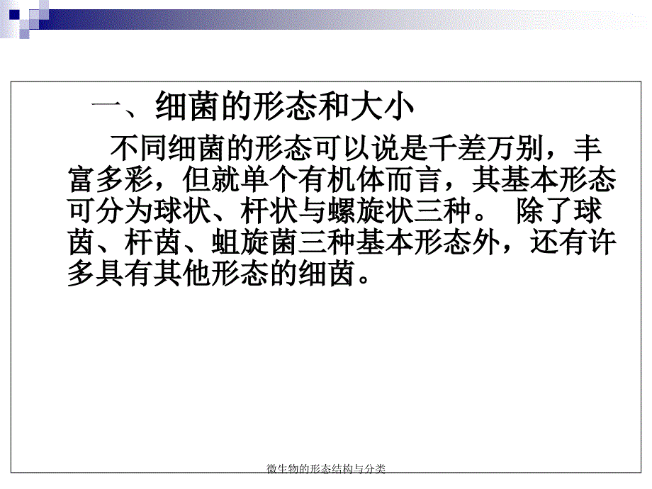 微生物的形态结构与分类课件_第4页