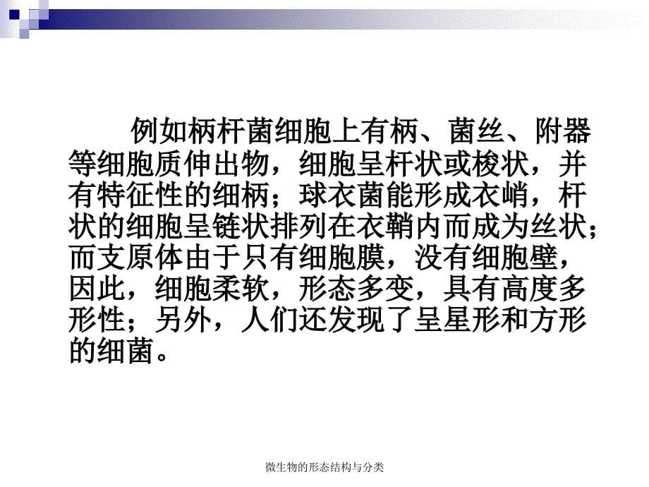 微生物的形态结构与分类课件_第5页