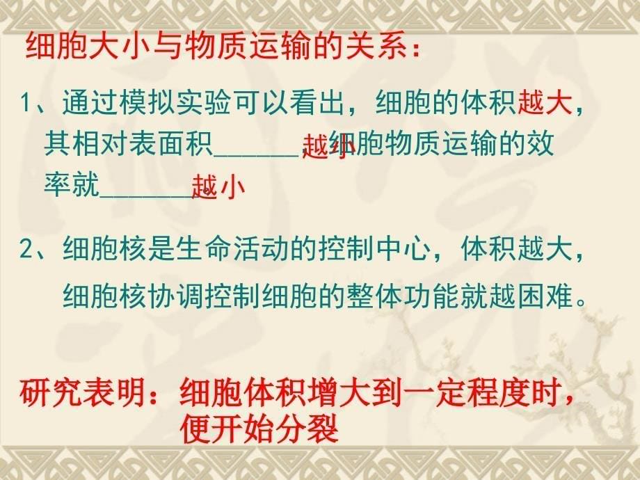 《细胞的生命周期》PPT课件_第5页