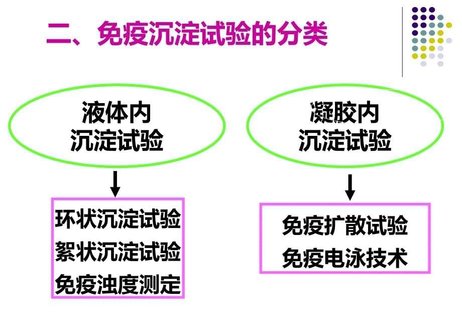 免疫沉淀试验ppt课件_第5页