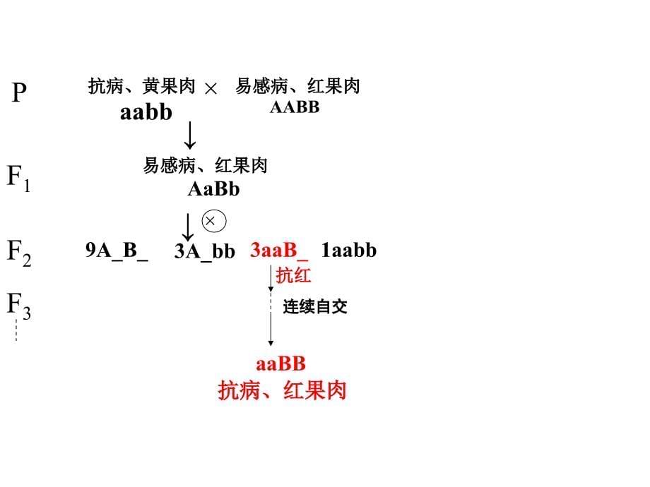 杂交育种与诱变育种_第5页