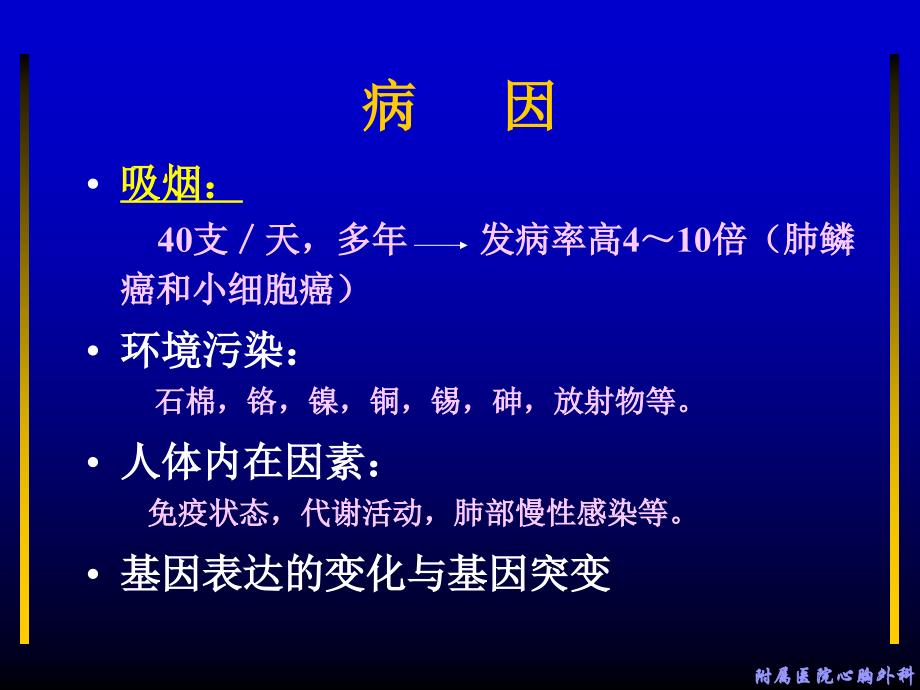 外科学课件：第26章 第三节肺癌课件_第3页