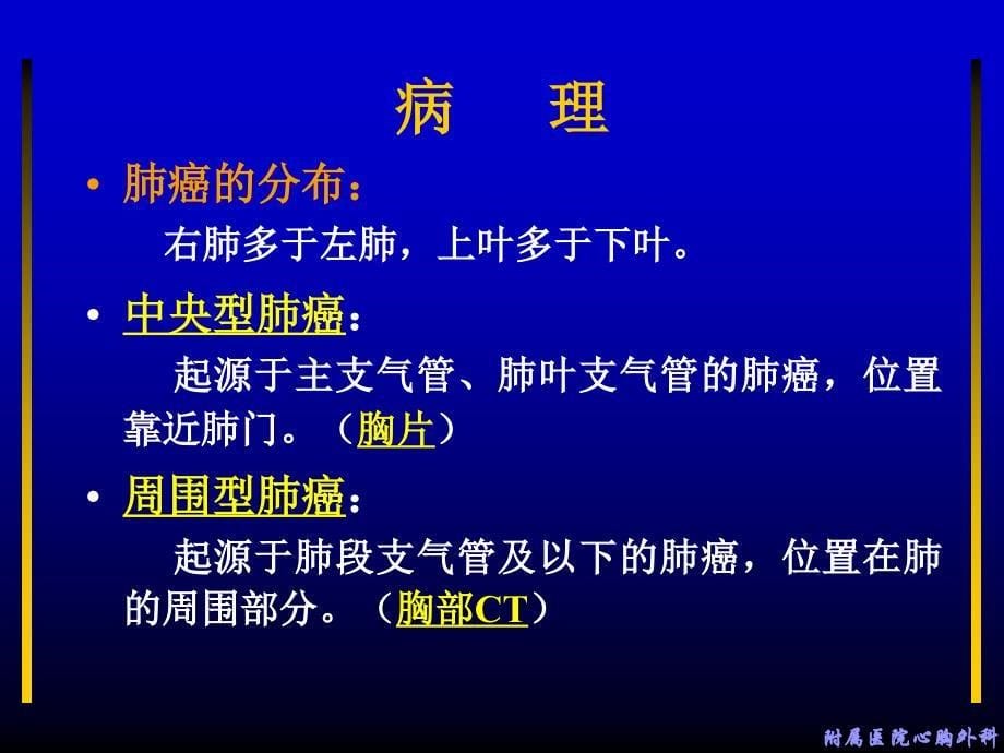 外科学课件：第26章 第三节肺癌课件_第5页