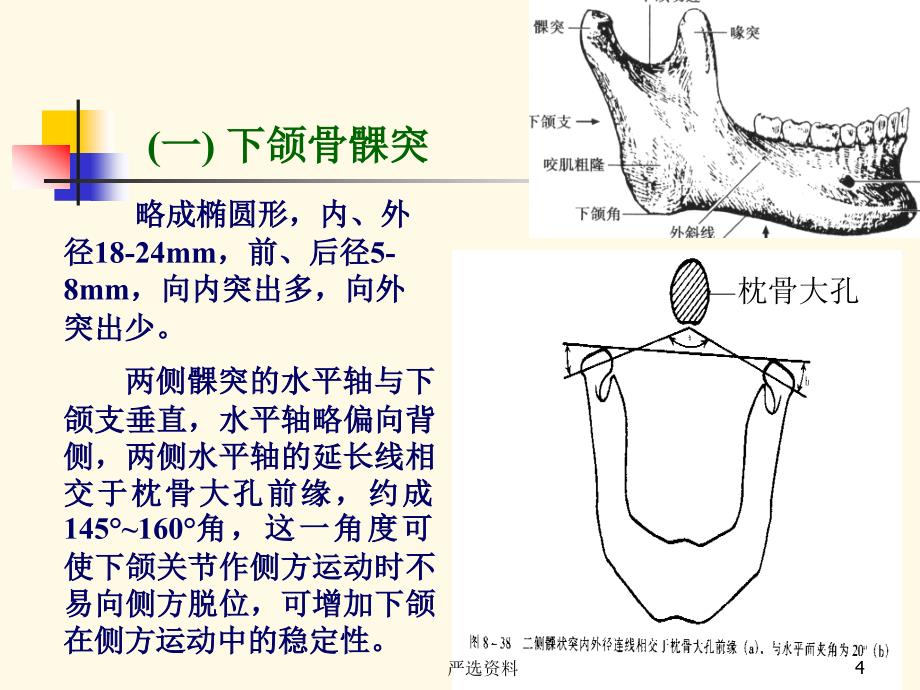 颞下颌关节运动学（行业荟萃）_第4页