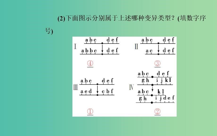 高中生物 第5章 基因突变及其他变异 第2节 染色体变异课件 新人教版必修2.ppt_第5页
