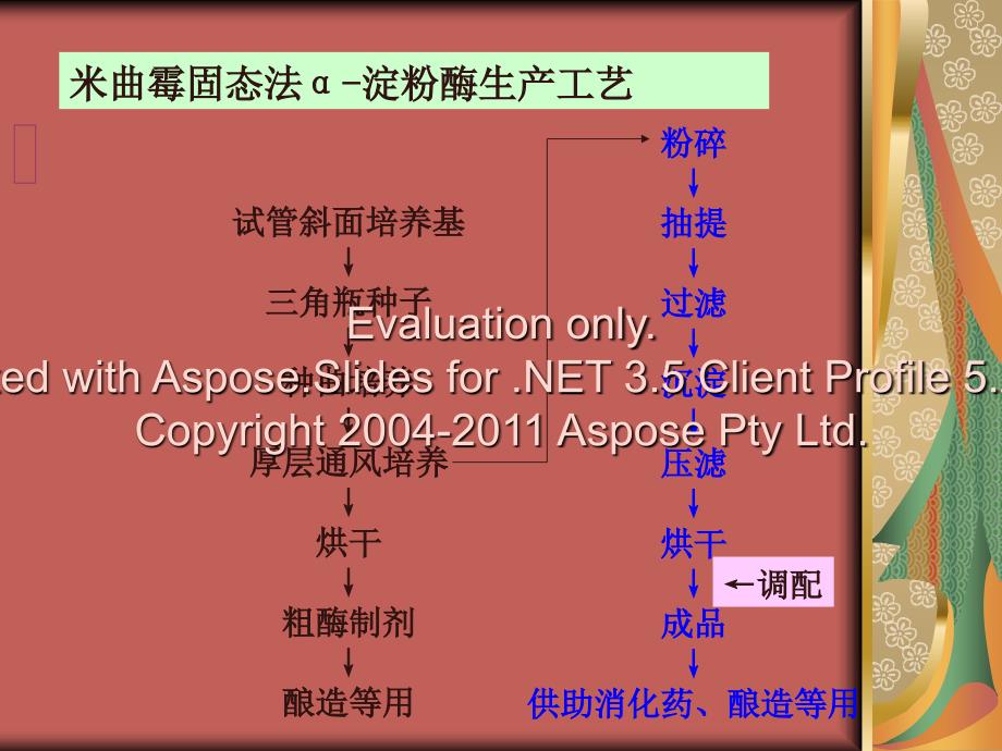 酶在食品加工方面应用生物技术.ppt_第3页