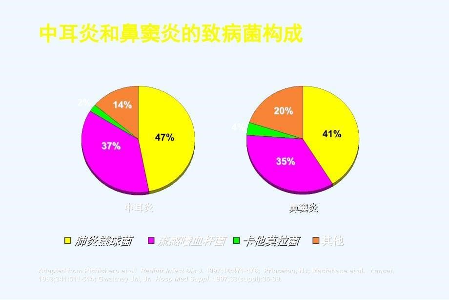 呼吸道细菌及肺炎指南课件_第5页