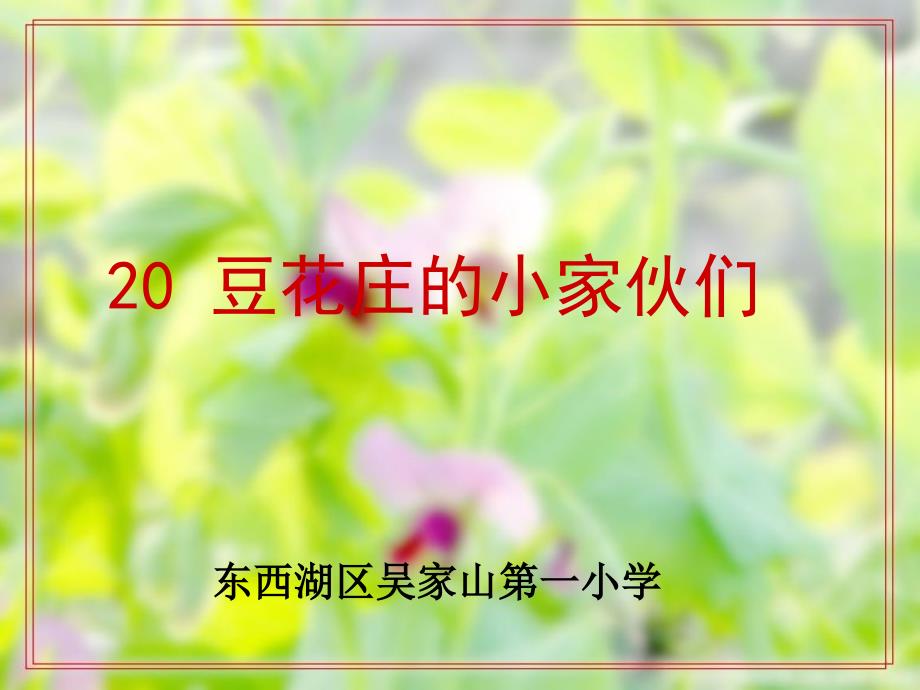 20豆花庄的小家伙_第1页