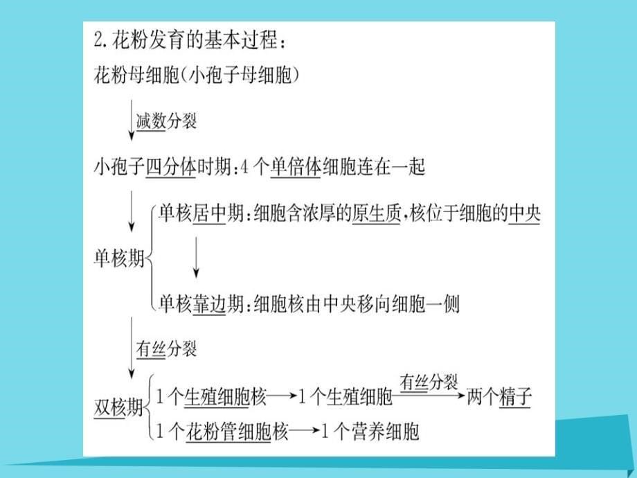 高中生物 3.2 月季的花药培养课件 新人教版选修1_第5页