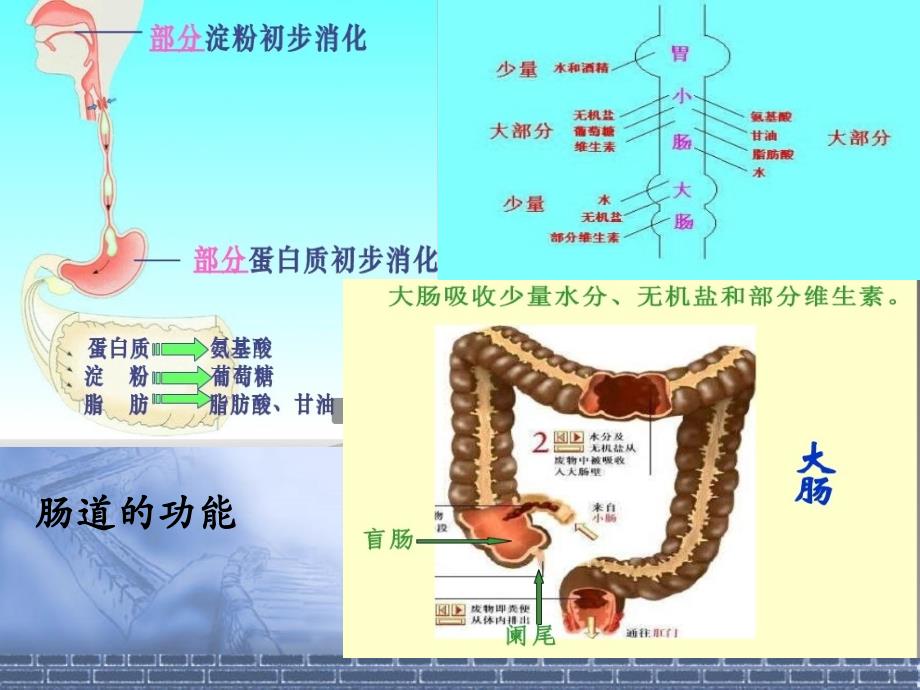 肠梗阻的治疗PPT_第3页