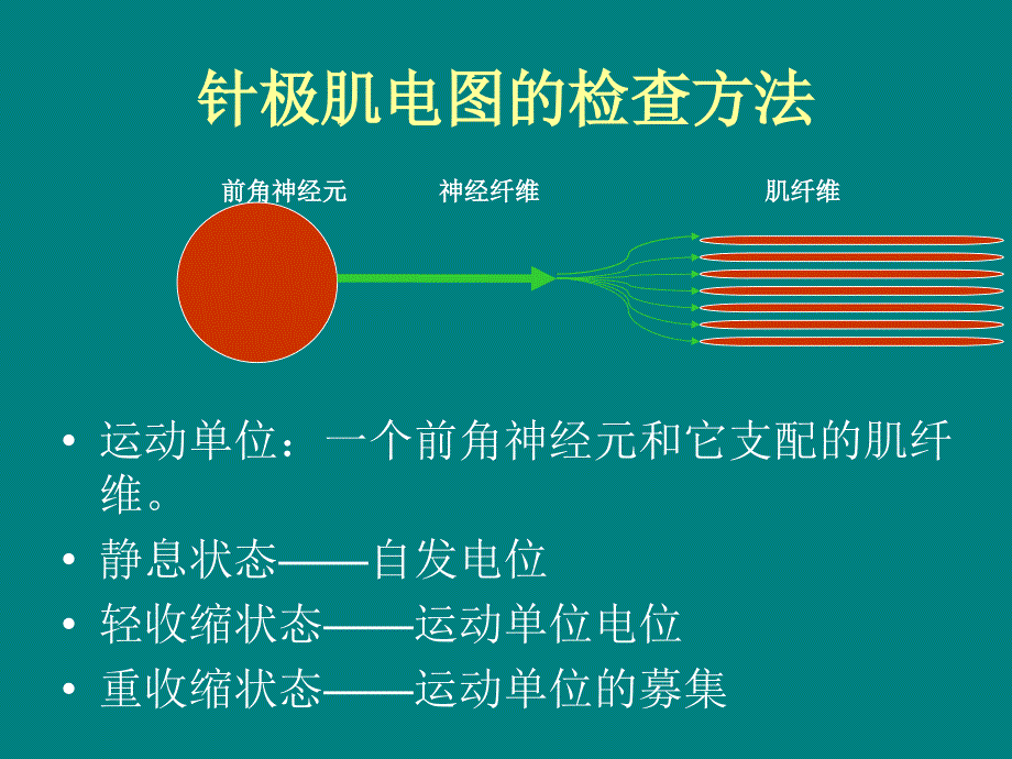 神经电生理检查的临床应用.ppt_第4页