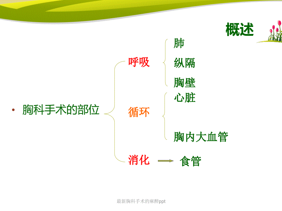 胸科手术的麻醉ppt_第2页