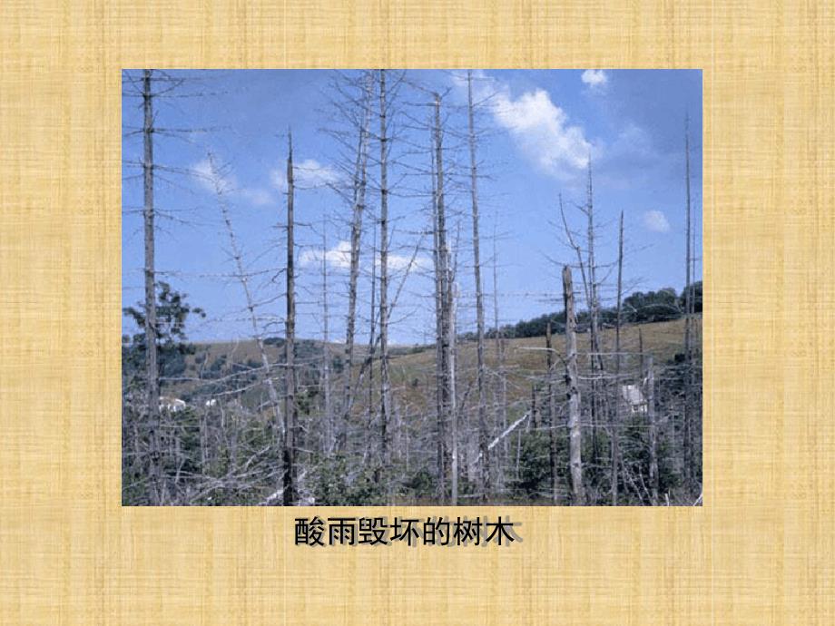 初中七年级生物下册472探究环境污染对生物的影响名师优质课件2新版新人教版_第3页