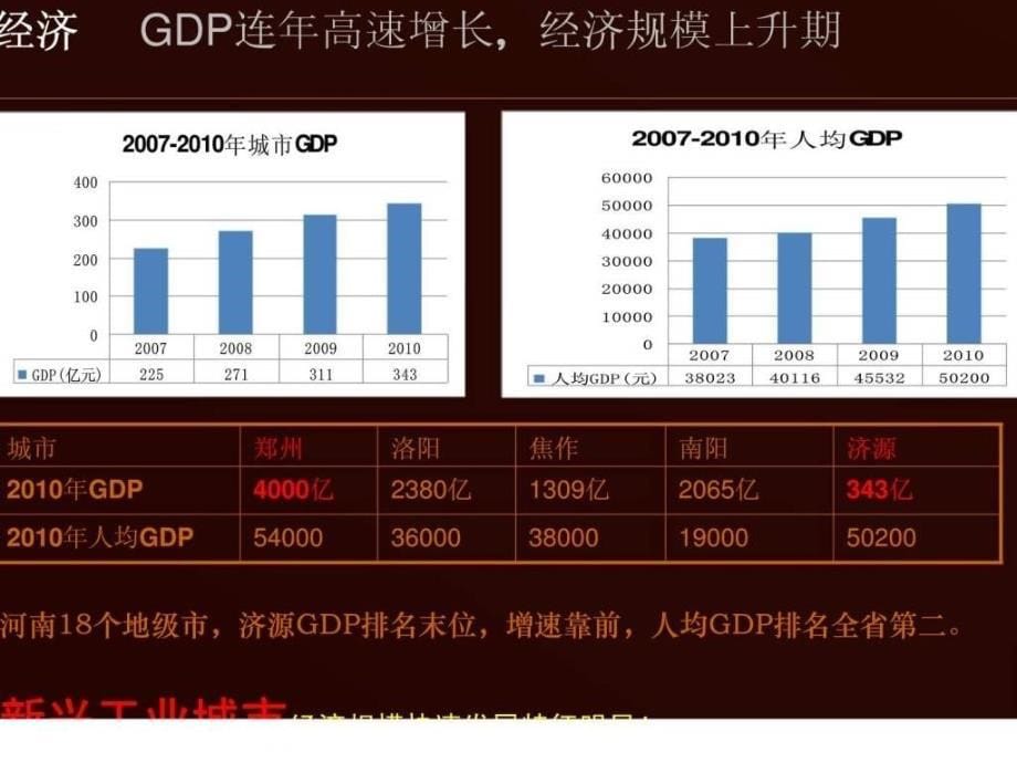 201年06月泰宏集团济源项目营销策划报告_第5页