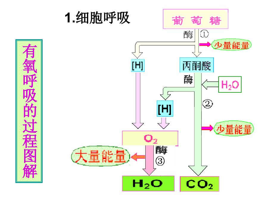 光合呼吸二轮 (2)_第4页